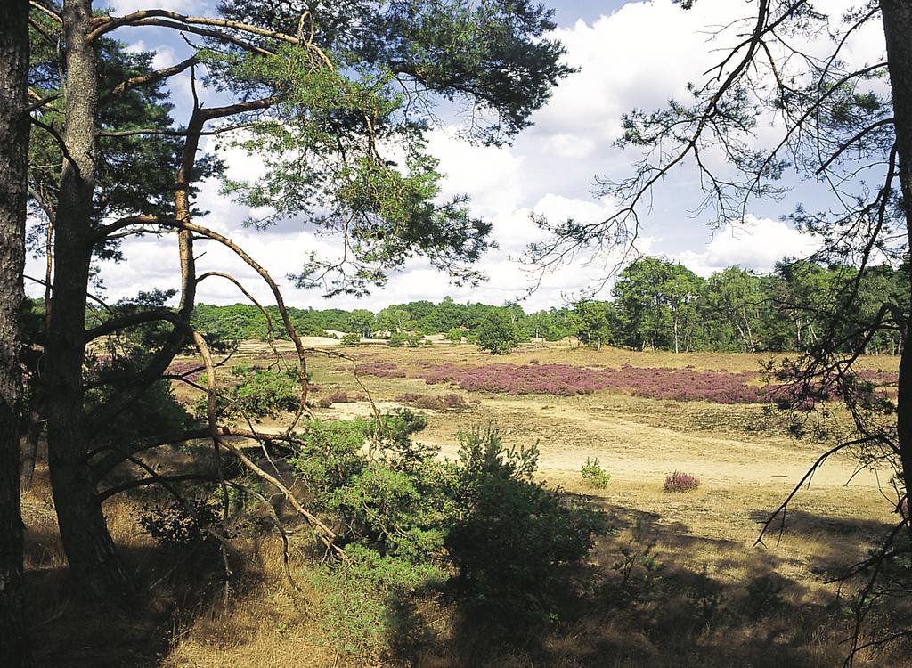 De Lindenberg Hotell Holten Exteriör bild
